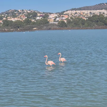 Lägenhet Esmeralda 111 B