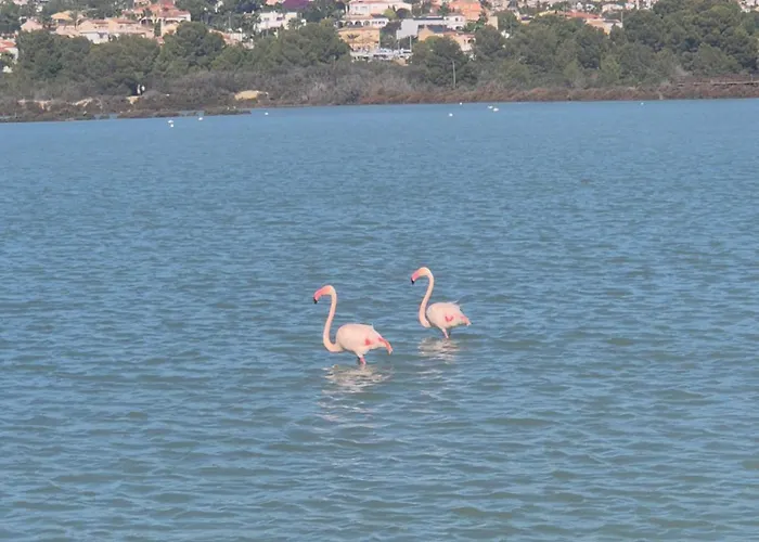 Apartment Esmeralda 111 B